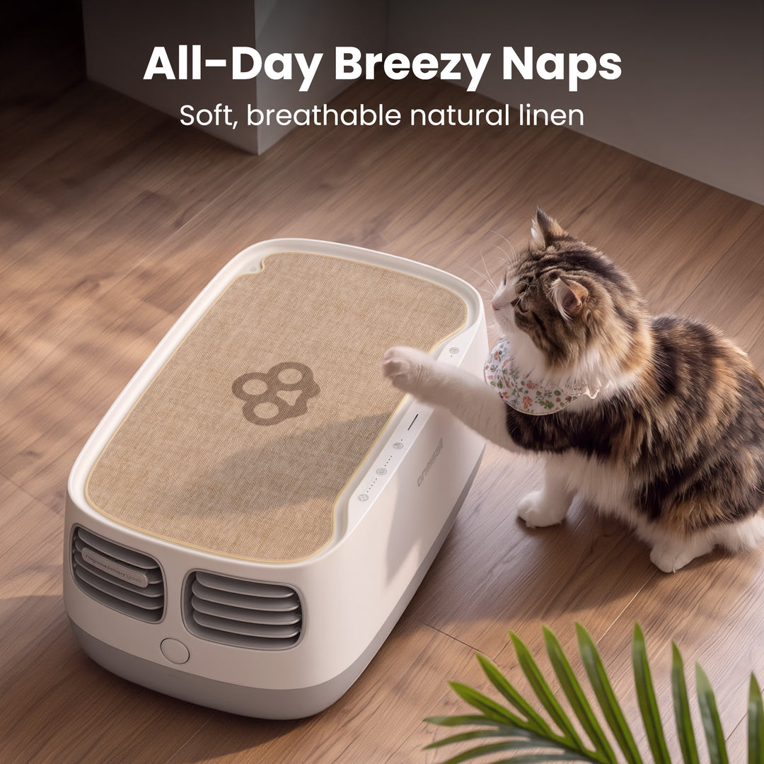Oneisall Accessories for 2-in-1 Cat Bed Air Purifier