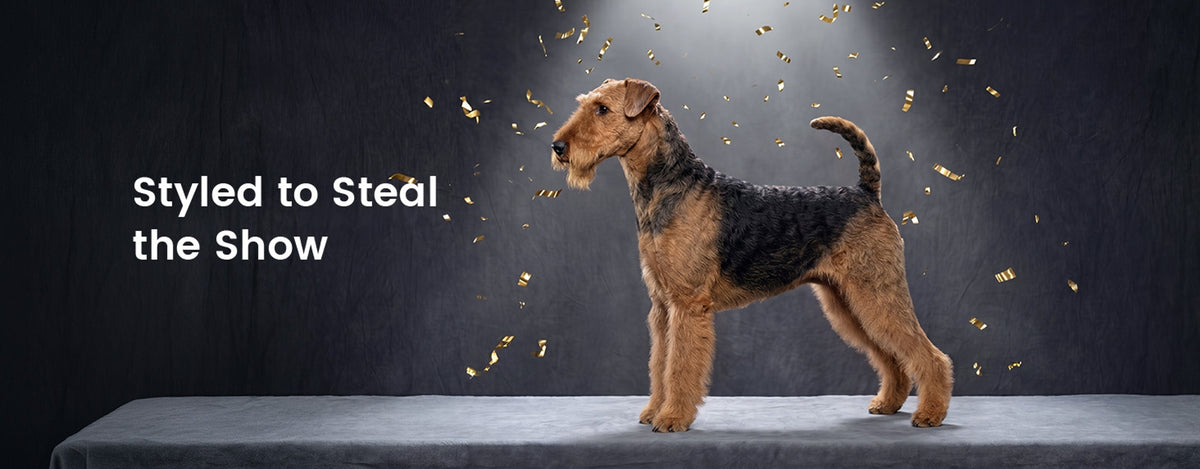 Every coat. Every breed. Show-ready.