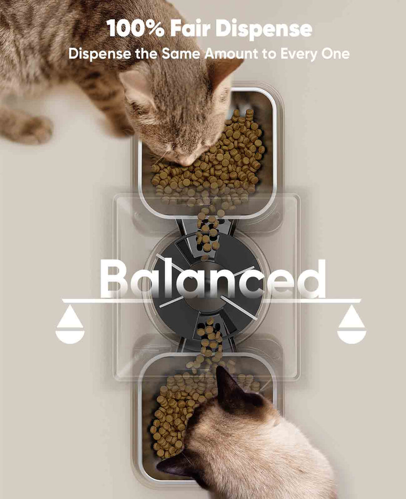 
                  
                    Dispenser per alimenti per gatti con quadrante automatico Oneisall per 2 gatti, Alimentatori automatici per gatti da 20 tazze per piccoli animali domestici al coperto, Dispenser per alimenti per gatti a tempo per cibi secchi
                  
                