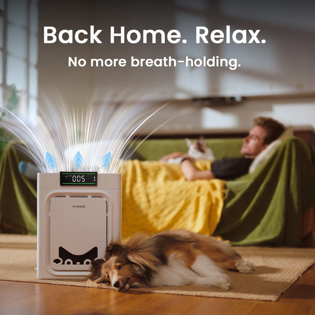 Oneisall Air Purifier for Homes with Pets, Double-Sided Inlet