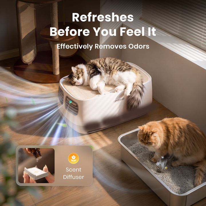 Oneisall Pet Air Purifier & Cordless Water Fountain Set