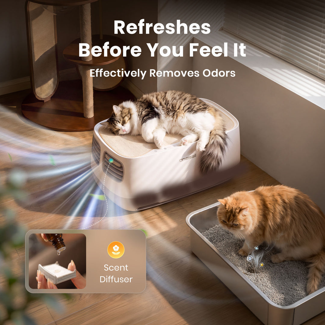 Oneisall Pet Air Purifier & Cordless Water Fountain Set