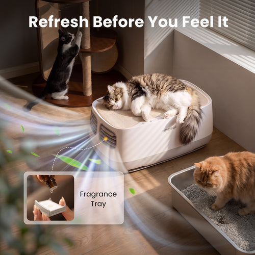 Oneisall Scent Pads Replacement for 2-in-1 Cat Bed Air Purifier