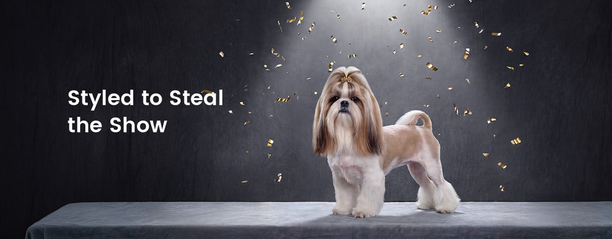 Every coat. Every breed. Show-ready.