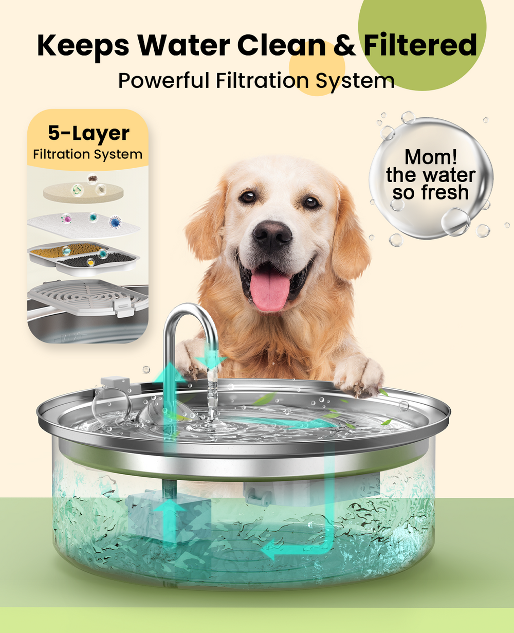 pet water fountain