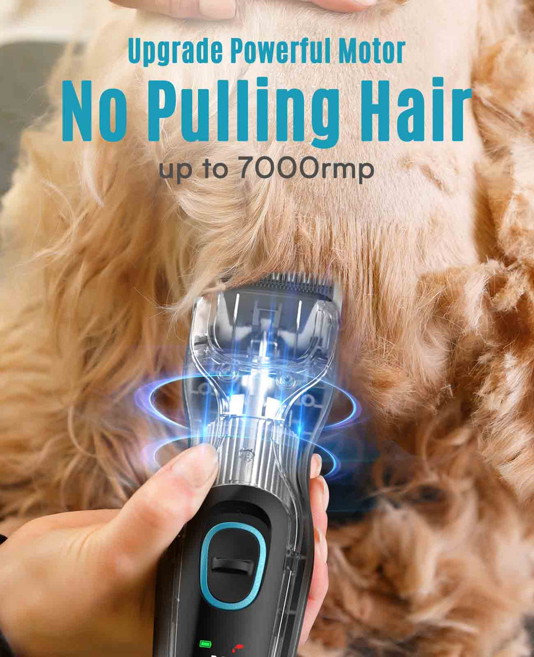 DTJ001 - Oneisall Clippers per Cane per Cappotto Spessore Ricaricabile con Lama in Acciaio Inox