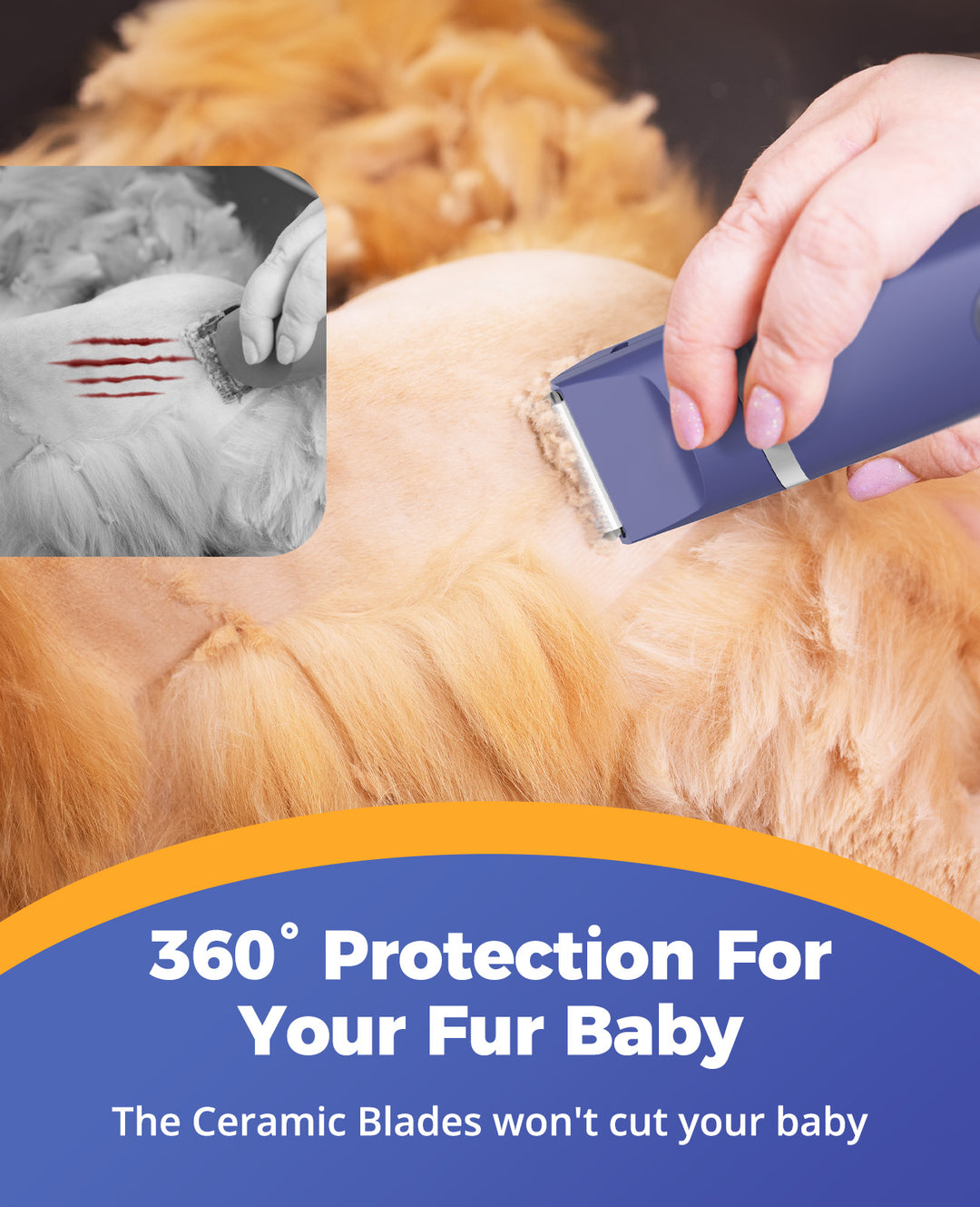 protection for your fur baby