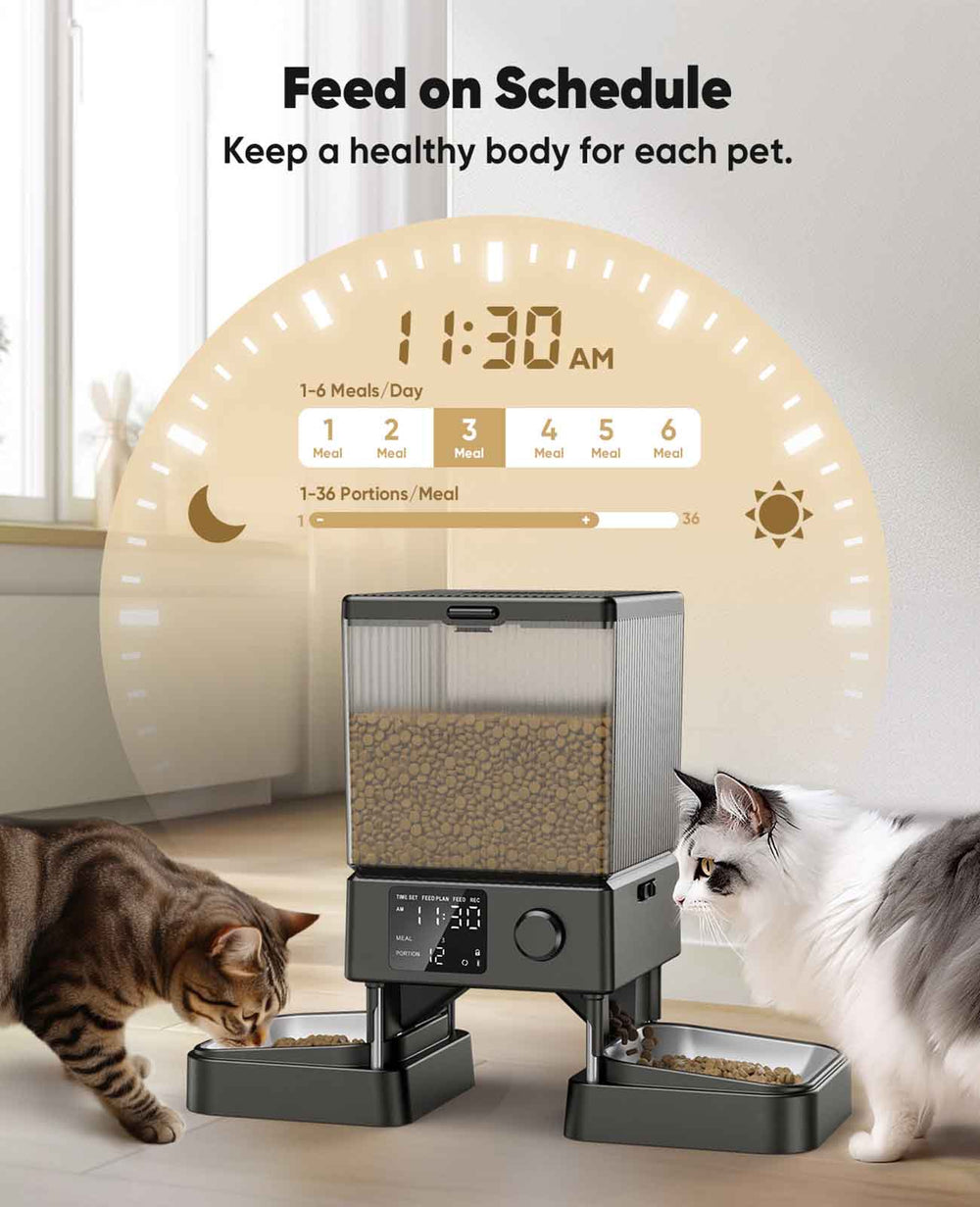 Ciotole per gatti a doppio cane Dispenser per acqua automatico per