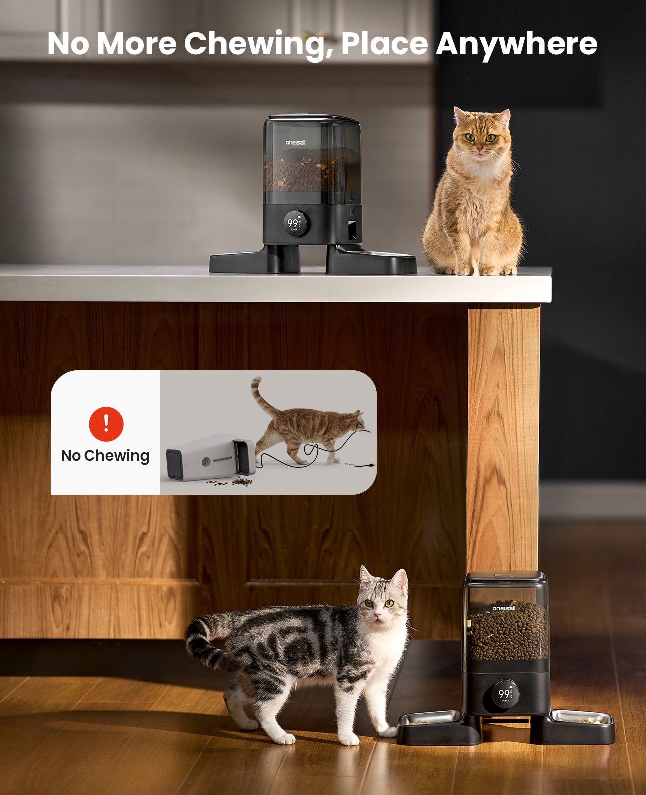 neko BUSTAFELLOWS1.2 10/16取り置き Oneisall H1 5L Automatic Cat Feeders for Two Cats – oneisall
