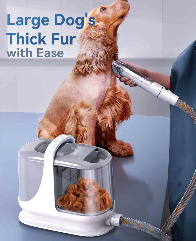 
                  
                    Oneisll Big Dog Hair Vacuum Groomer con tosatrici per cani per animali domestici a pelo spesso con contenitore per la polvere grande da 3 litri
                  
                