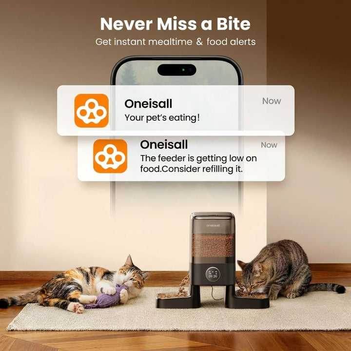 Oneisall H1-C 5L Automatic Cat Feeders with Camera for Two Cats-APP Control