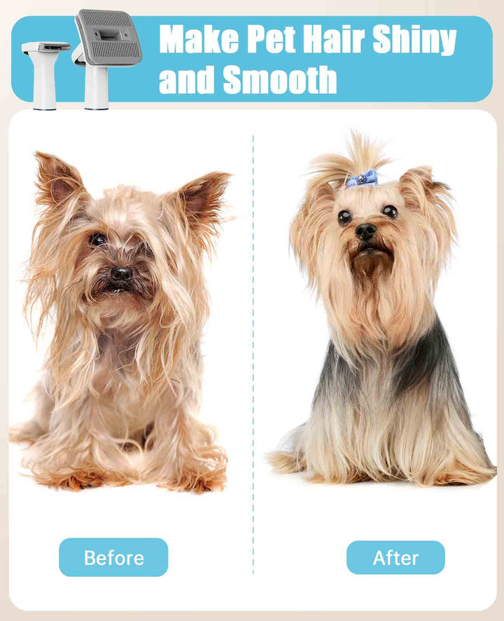 make pet hair shiny and smooth