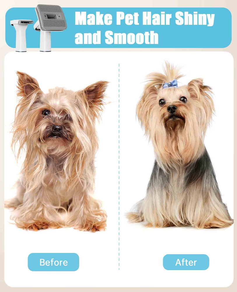 
                  
                    4Pcs Accessories For Dog Grooming Vacuum
                  
                