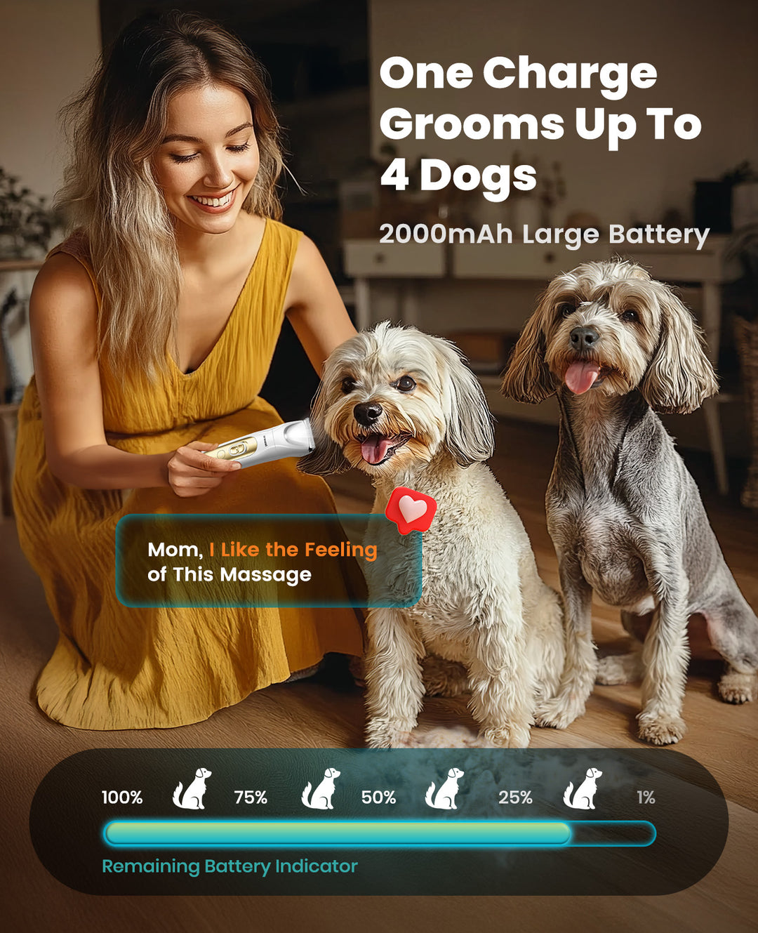 Oneisall FC10 4-in-1 Cordless Multi-Functional Pet Clippers