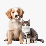 Small & Medium Pet Picks