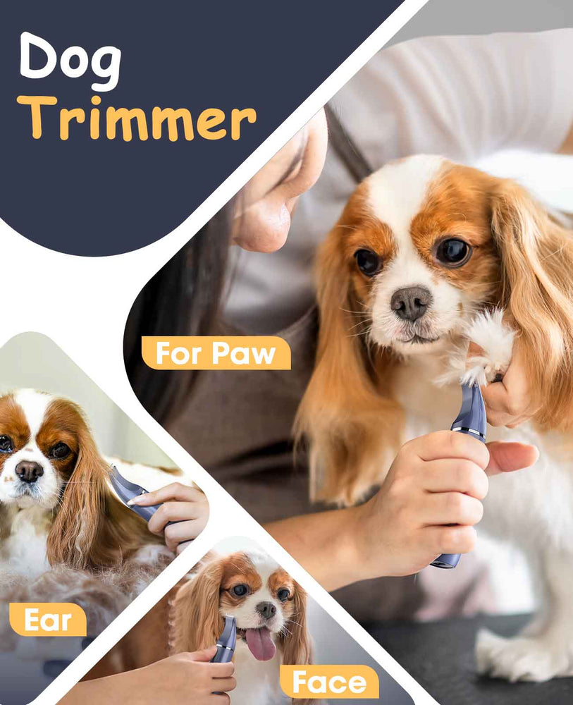 
                  
                    N10 - Oneisall Dog Paw Trimmer with Double Blades
                  
                