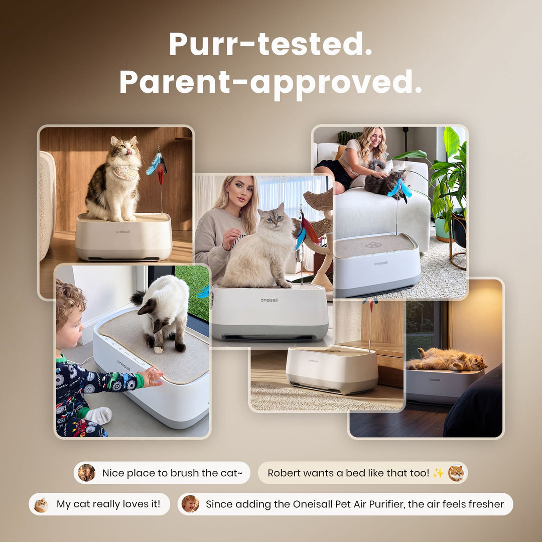Oneisall 2-in-1 Cat Bed Air Purifier