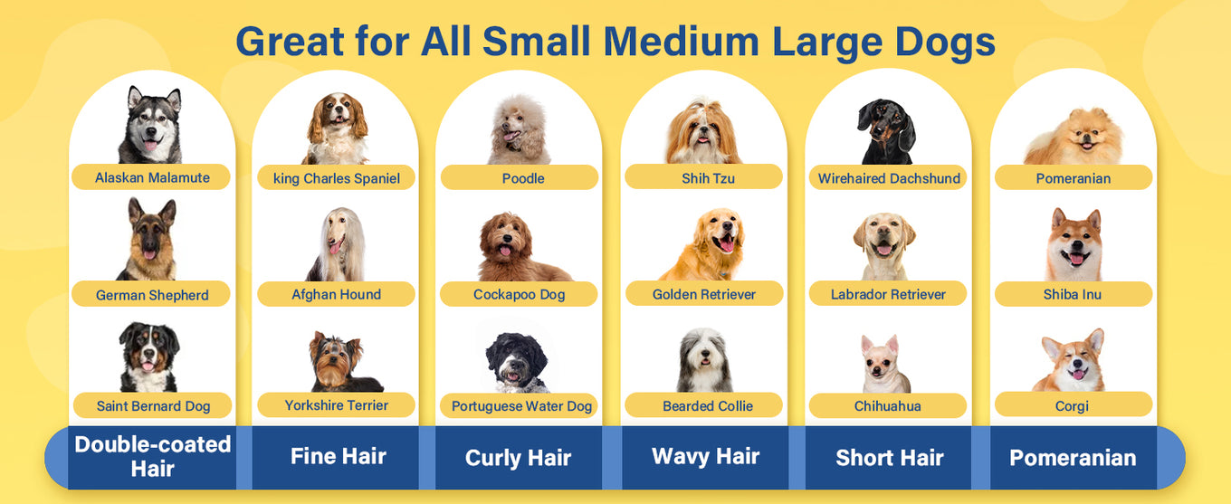 oneisall dog clippers
