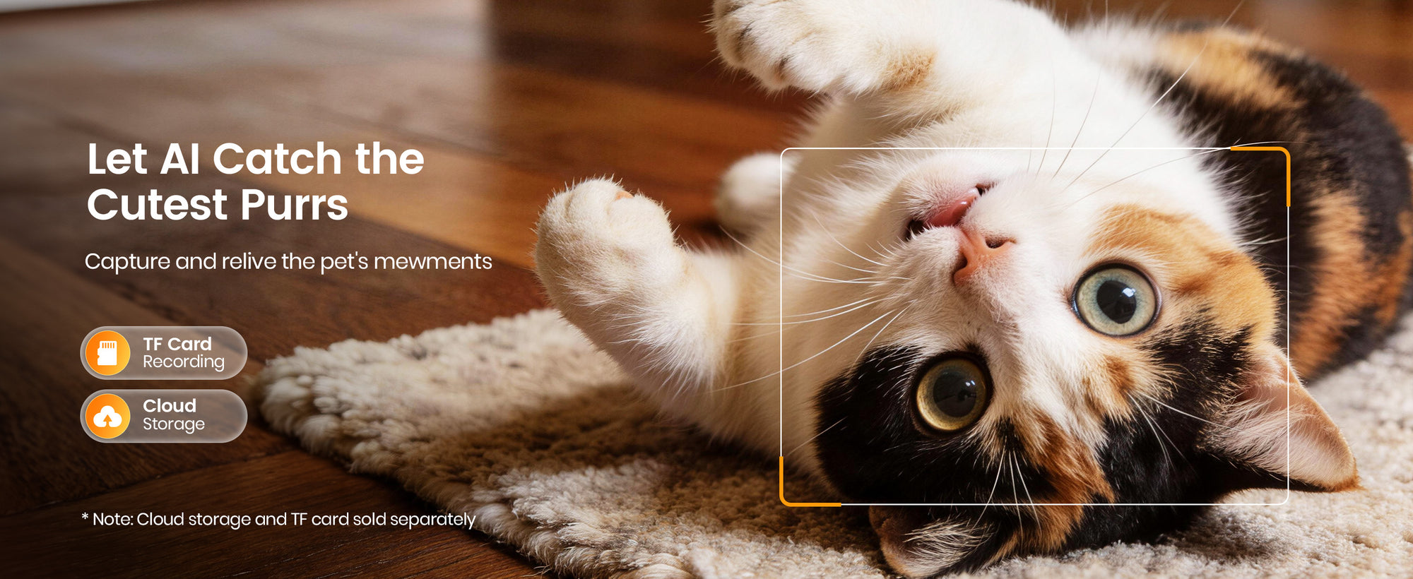 Smart Captures