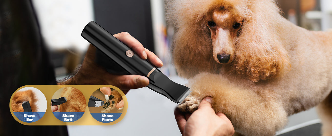 oneisall dog clippers