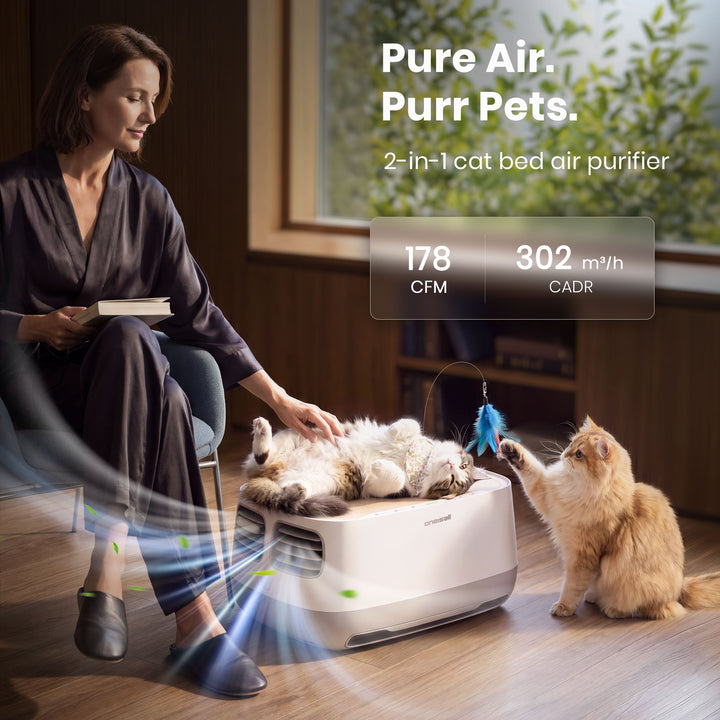 Cat Air Purifier