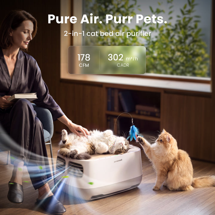 Cat Bed Air Purifier