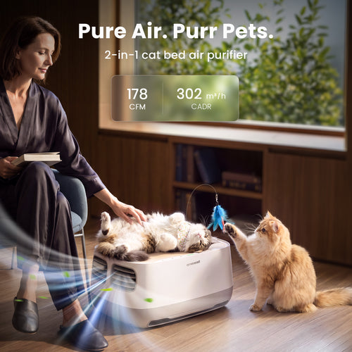 Cat Bed Air Purifier