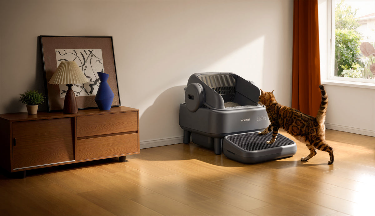 Easier Access, Happier Cats