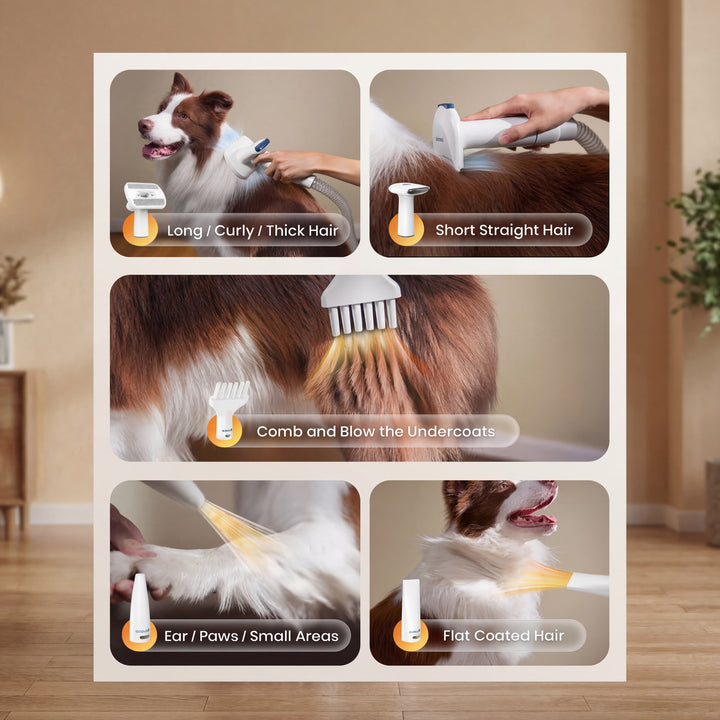 Oneisall Cozy C1 Pet Grooming Vacuum & Dryer Kit & Paw Trimmer Set