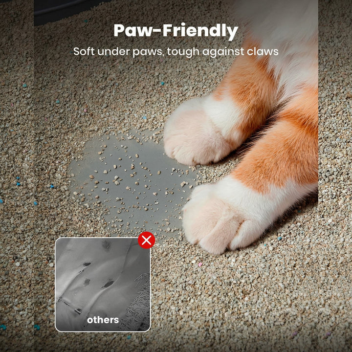 Cat Litter Step