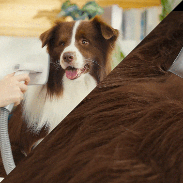 Pet Grooming Vacuum Kit