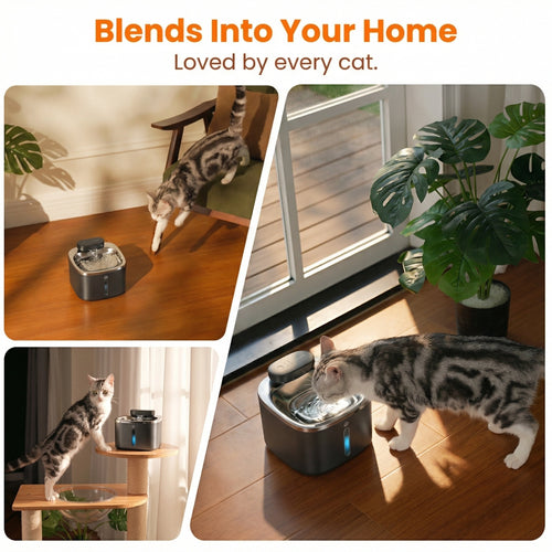 Oneisall 3.5L  Cordless Black Stainless Steel Pet Water Fountain with 3PCS Filters