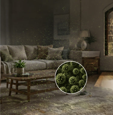 Allergens linger. No real allergy relief.