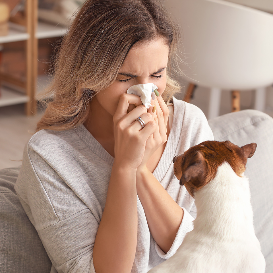 Allergy Triggers at Home