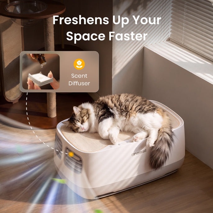 Personalized Scent Experience