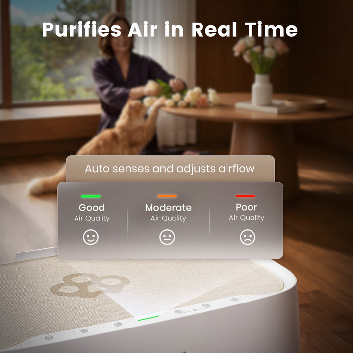 Oneisall 2-in-1 Cat Bed Air Purifier