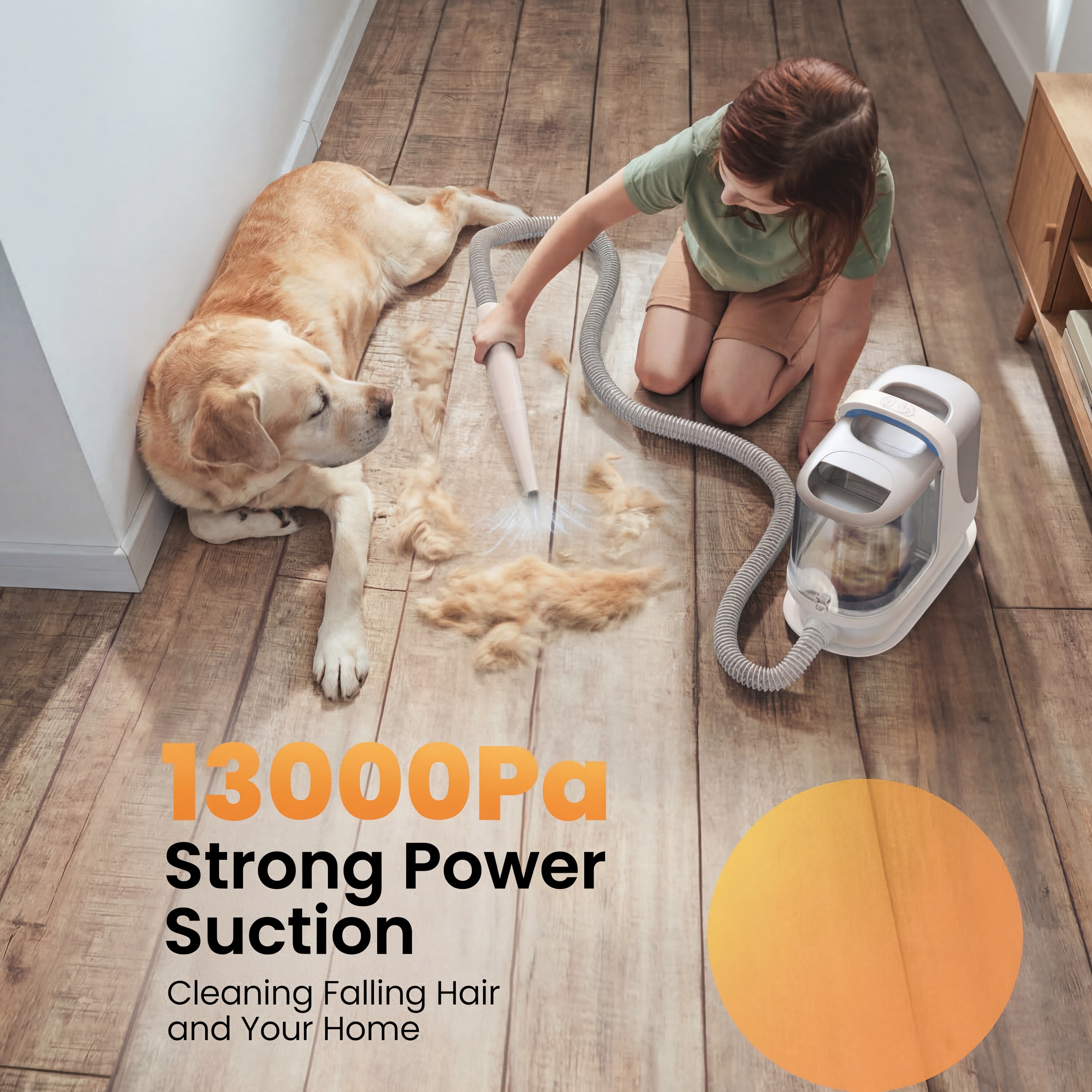 Oneisall BM3 13000Pa Super Strong Suction Dog Grooming Vacuum Kit