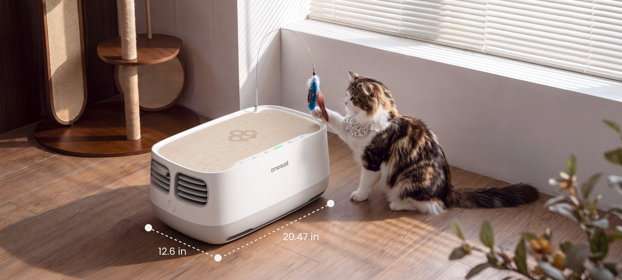 Designed for cats