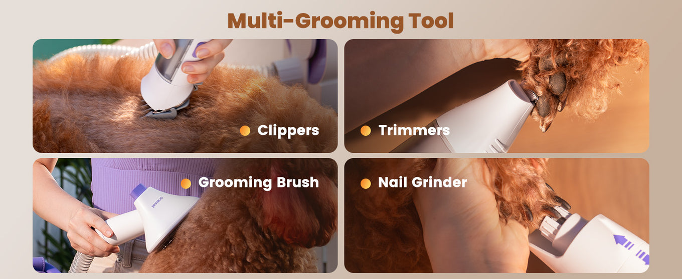 Easy Grooming &  Healthy Coat