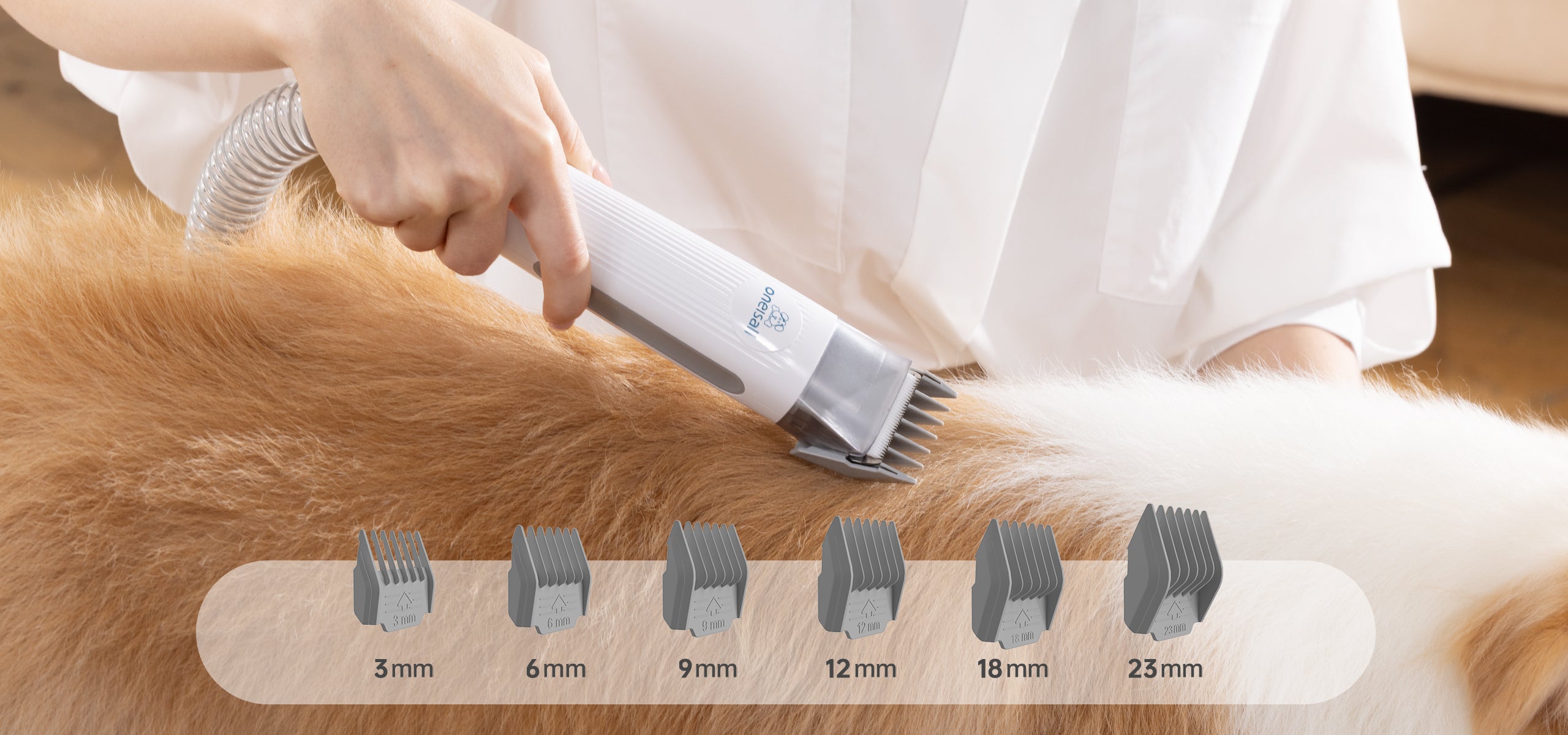 Comb Guides