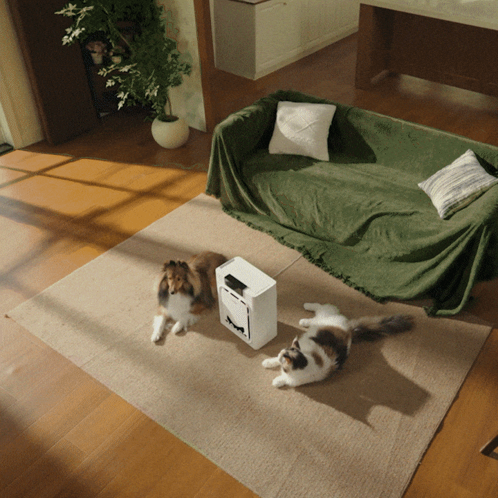 Oneisall Air Purifiers for Home Pets with Double-Sided Inlet, 2-Pack Set