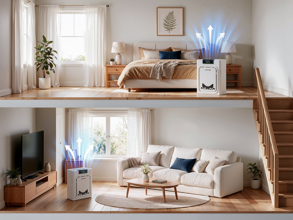 Cleaner Air Across Every Room