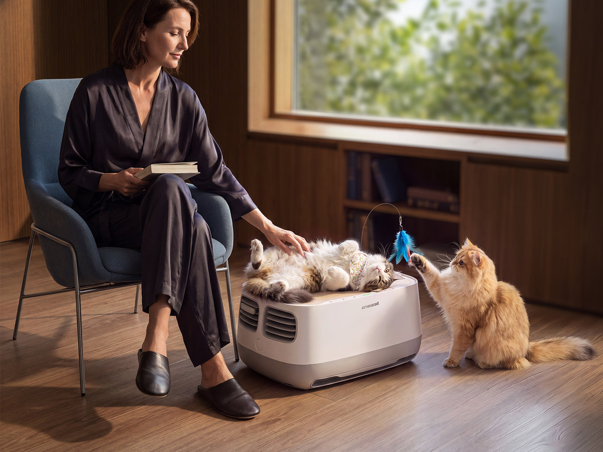 A Cozy Spot with Cleaner Air
