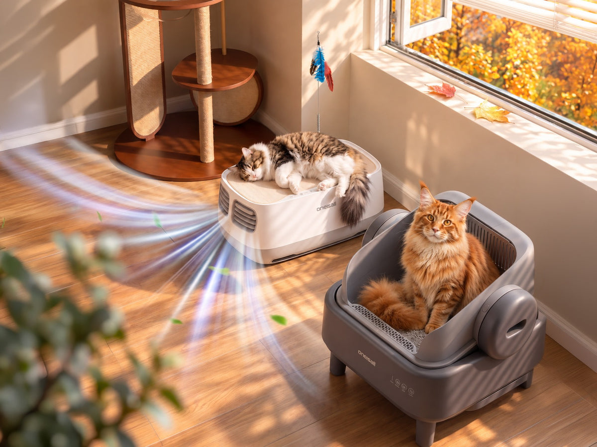 Automatic Cat Litter Box & Pet Air Purifier Set