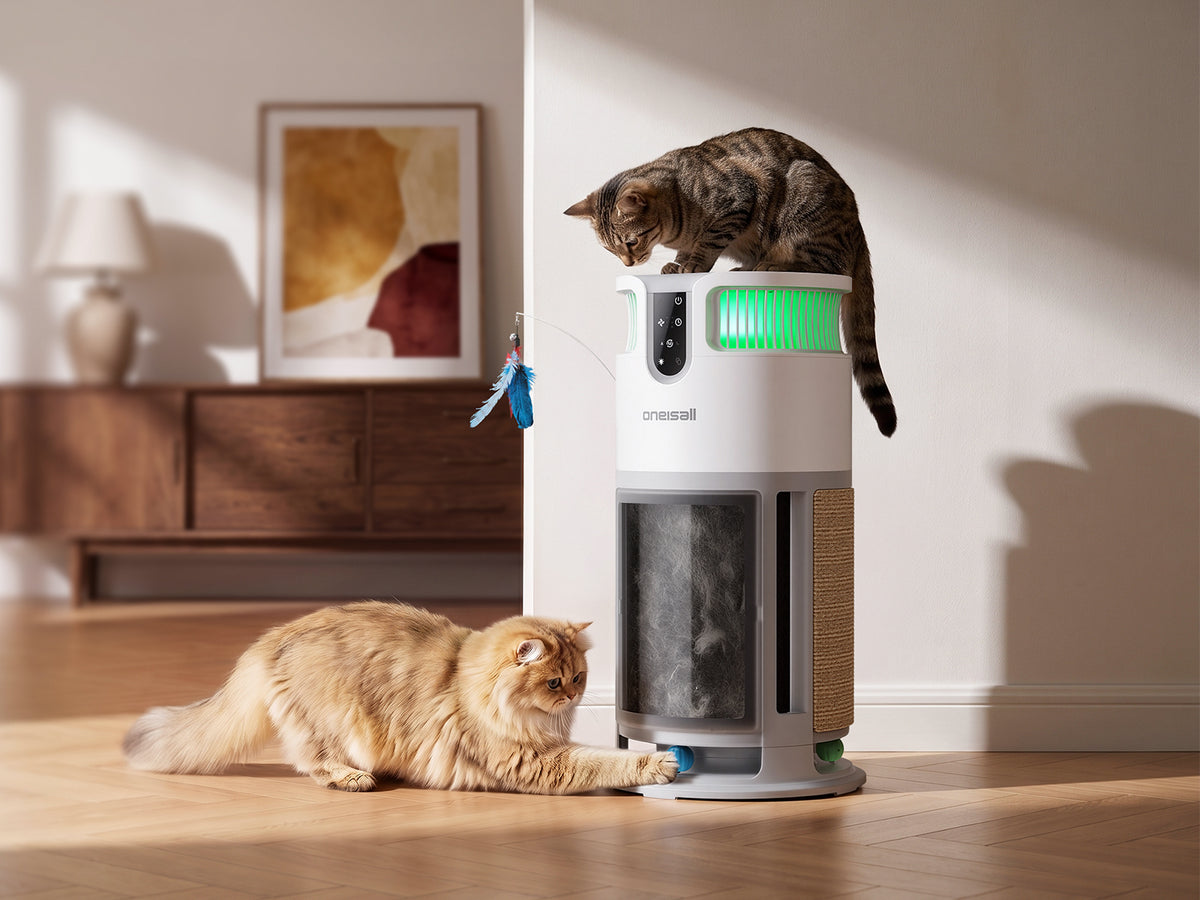 More Than an Air Purifier