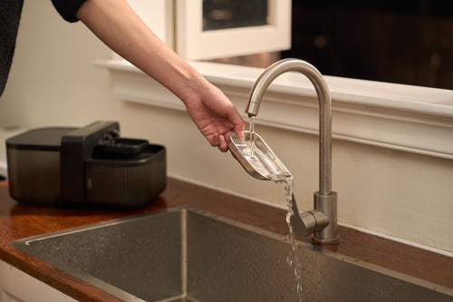 Do You Really Need Filters in Cat Water Fountains? The Science of Fresh Water vs. Recirculated Water