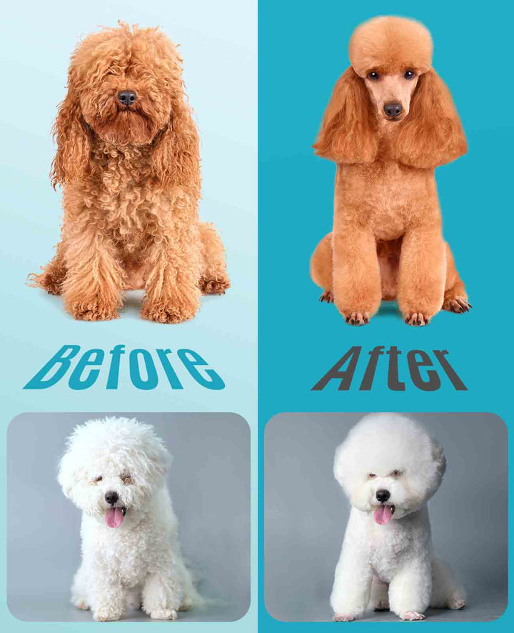 dog grooming clippers