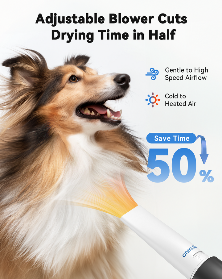 Blow dry dog hair online