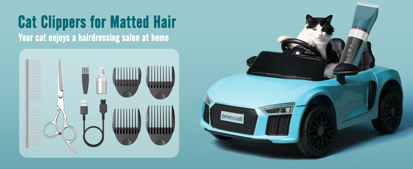 oneisall clippers