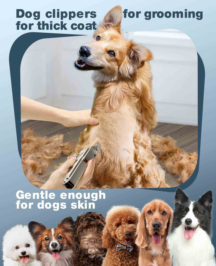 dog clipper for thick coat